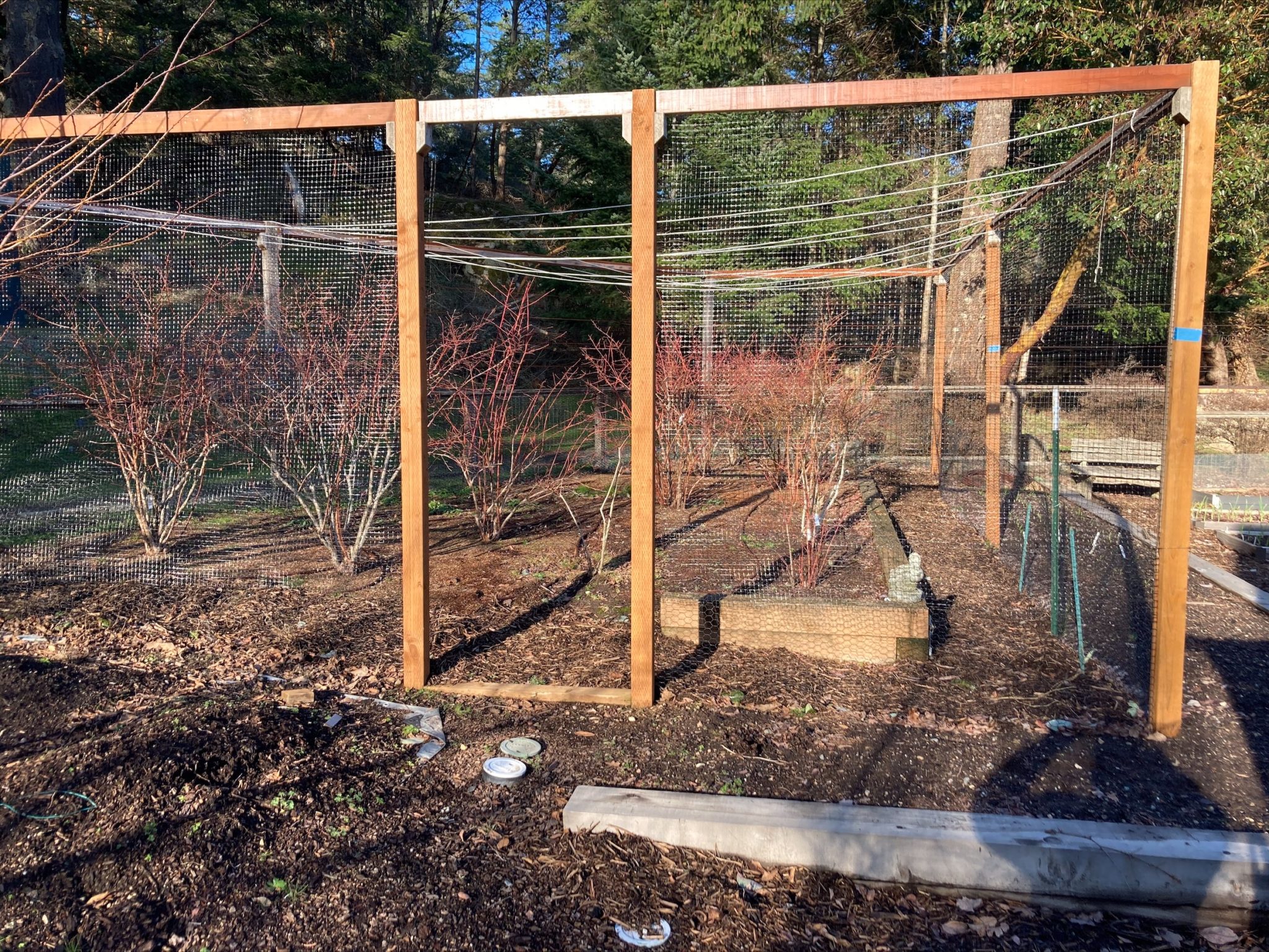 Bird Exclusion Netting and Custom Bird Barrier Nets for Garden, Berry