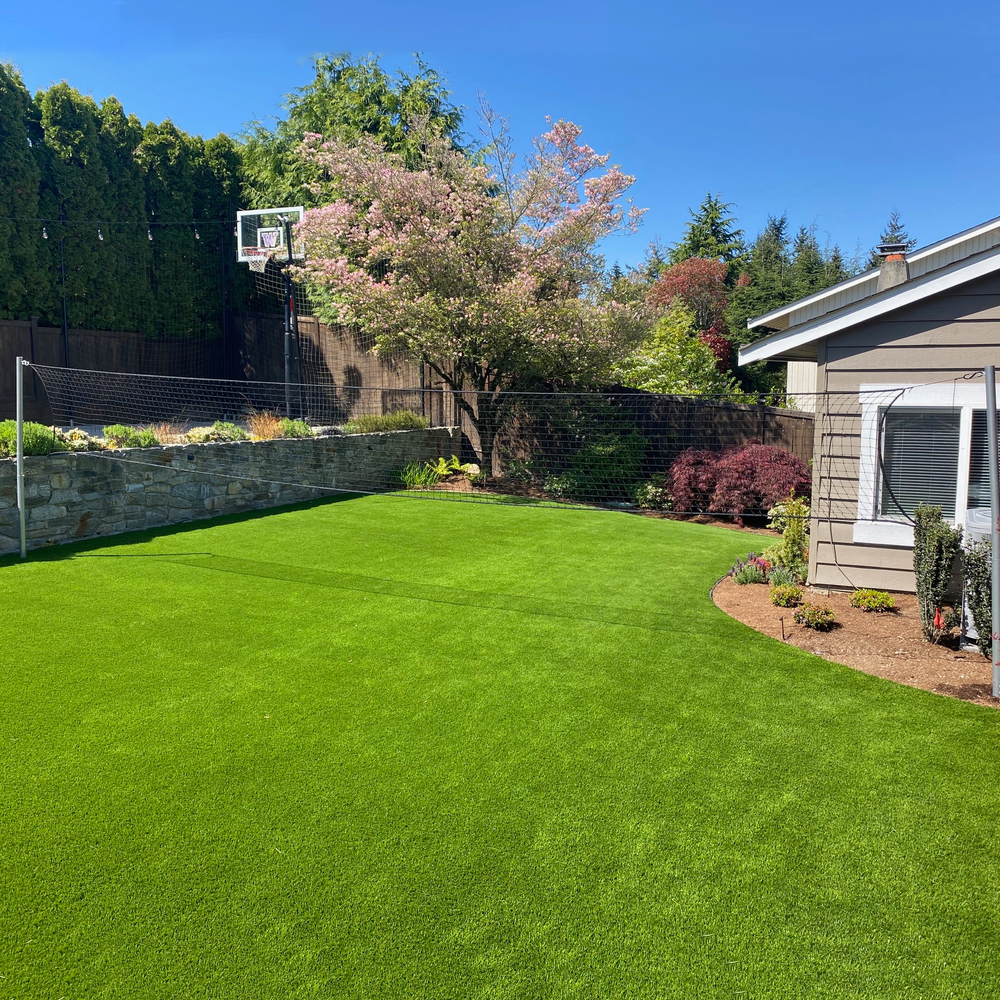 Backyard volleyball netting and basketball hoop netting.