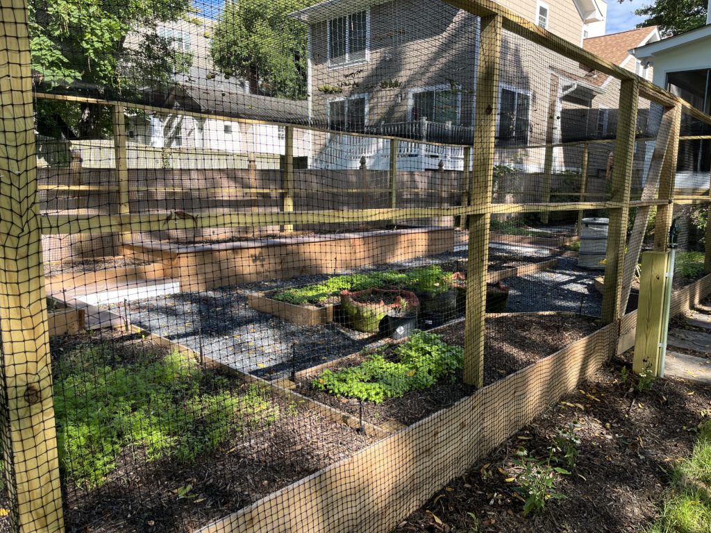 Garden netting used for bird exclusion and garden protection at a backyard location.