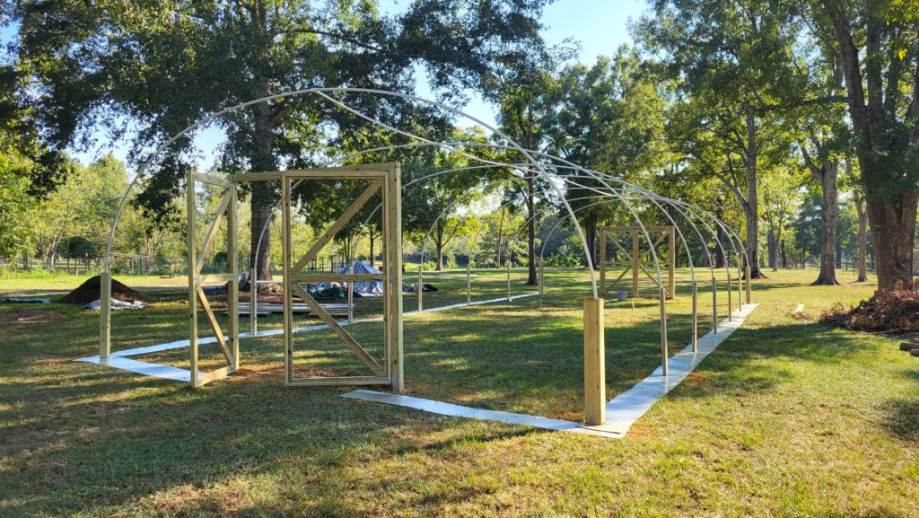 Quail pen framing, before bird netting was custom built and installed.