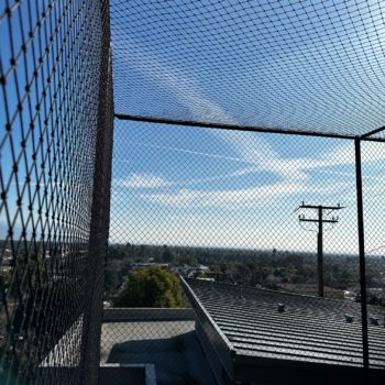 custom ball containment netting