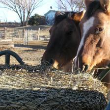 Hay Slow Feeder Netting