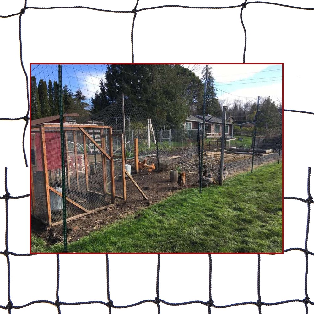 Omlet Chicken Fencing, Poultry Netting for Chickens